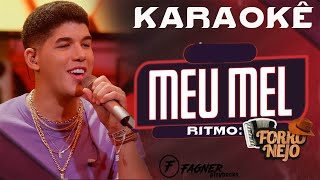 KARAOKÊ  MEU MEL  FORRONEJO [upl. by Aisetra]