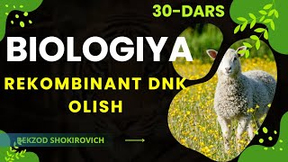 30Mavzu Rekombinant DNK olish [upl. by Naam]