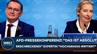 BRANDENBURG AfDPressekonferenz quotDas ist absolut erschreckendquot Expertin quothochgradig irritiertquot [upl. by Pirzada582]