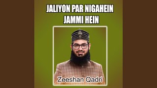 Naimatain Banta Jis Simt Wo Zeeshan Gaya [upl. by Ayerdna289]