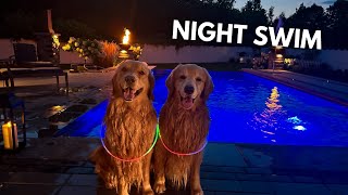 LIVE Night Swim with Tucker and Todd [upl. by Eadahc14]