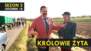 KRÓLOWIE ŻYTA Sezon 2 odc 18 I Kabaret Malina [upl. by Phalan]