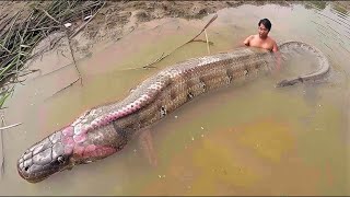 Fisherman Caught A River Monster The Ending Will Shock You [upl. by Atikihs6]