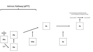 Activated Partial Thromboplastin Time [upl. by Rento]