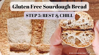 Gluten Free Sourdough Bread Recipe  REST amp CHILL [upl. by Dacey]