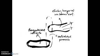 Diagrama de Relaciones Espaciales [upl. by Aloisia]