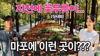 마포 시인의 거리 꽃무릇상사화이 만개한 아름다운 순간 아나운서들과 함께 걸어봐요 [upl. by Tedd]