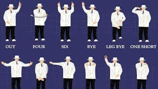 All about cricket umpire hand signals Different types and their meaning  Cartoon Sports [upl. by Adianes]