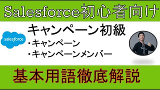 【キャンペーン初級】Salesforce解説【初心者向け】 [upl. by Einnus]