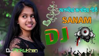 SANAM DJ SONG  BAGANIYA NEW DJREMIX SONG [upl. by Ashla667]