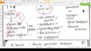 ANDROGEN INSENSITIVITY SYNDROME  CONCEPT [upl. by Elok]