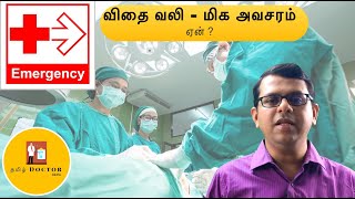 விதை வலி  மிக அவசரம்  ஏன்   Pain in the testis  Emergency  Why   தமிழ் [upl. by Marabel]