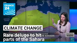 Down to Earth Rare deluge to hit parts of the Sahara • FRANCE 24 English [upl. by Mariele113]