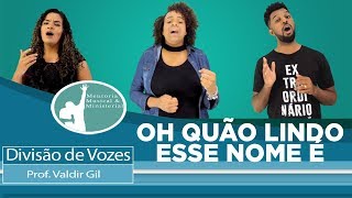 DIVISÃO DE VOZES  ANA NOBREGA  Oh Quão Lindo Esse Nome é [upl. by Tressia620]