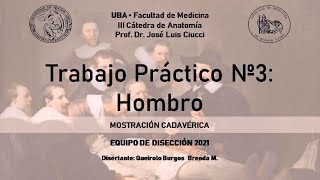 Articulación del Hombro [upl. by Lotson443]