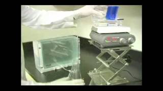 Casting Gradient Gels with the PROTEAN® Plus MultiCasting Chamber [upl. by Lleraj]