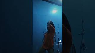 My fave tiktok dance challenge [upl. by Uriiah]