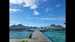 Honeymoon in Maldives Raffles 몰디브 래플스 4박5일 후기 몰디브 신혼여행  요약편 [upl. by Anaib]