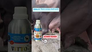 VITTOH Milk for Veterinary Liquid Supplement Mixture of multivitamins Pet Health Supplements [upl. by Codi]