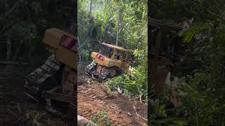 The D6R XL Bulldozer and its Ability to Handle Wood on Plantations [upl. by Saretta]