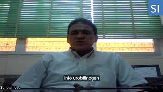 What is Urobilinogen in Hindi ll Urobilinogen kya hota hai l Urobilinogen in urine test l [upl. by Yank]