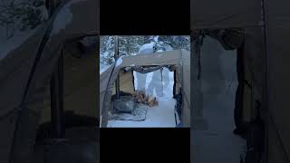 Camping in snowfallpart3 survival build bushcraftshelter survivalbuild emergencyshelter wood [upl. by Dyana19]