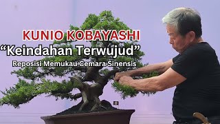 PART 4 quotHarmoni yang Abadiquot Master KUNIO KOBAYASHI  Keindahan Setelah Reposisi Cemara Sinensis [upl. by Doscher461]