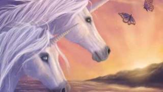 The Last Unicorn  Groove Coverage [upl. by Alihet]