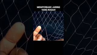 Memperbaiki Jaring Yang Rusak viralshorts fyp shorts jalamania [upl. by Cloe39]