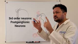 Horners Syndrome 1  Neuroanatomy [upl. by Burnie]