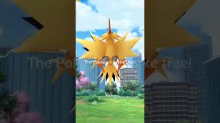 I catch a Zapdos 😍 [upl. by Haym]