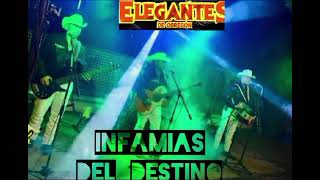 ELEGANTES DE OBREGON  INFAMIAS DEL DESTINO en vivo💯🪗👍 [upl. by Lorn]