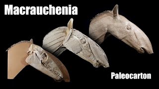 Macrauchenia Paleocarton [upl. by Meurer]