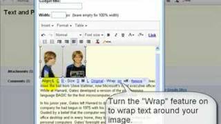 Google Sites Text Boxes [upl. by Holmen]