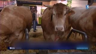 Le Tarn à lhonneur au salon de lAgriculture [upl. by Ninnette]