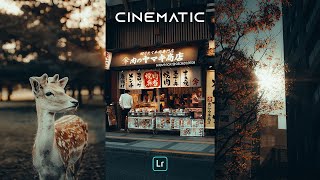 POV CINEMATIC Presets  Lightroom Mobile Preset Free DNG  POV Street Photography Presets [upl. by Ainet320]