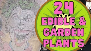 Urban Gardening Ideas  24 Edible Plants and Garden Plants Review  zone 7 fruit trees [upl. by Stevana]