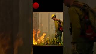 quotBurning the Forest to Protect It – The Firefighters Strategyquot facts ytshorts [upl. by Mars]