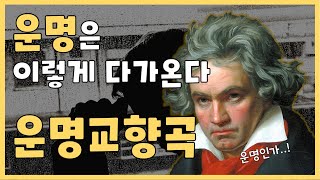 클래식 명곡 l 운명교향곡 1악장 l 베토벤이 운명을 대하는법 [upl. by Glover]