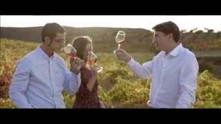 Discover the wonderful Land of Garnacha [upl. by Brant878]