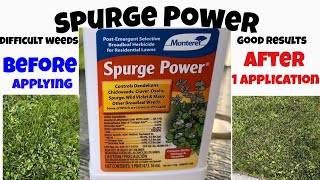 Spurge Power for difficult weeds [upl. by Enyawed]