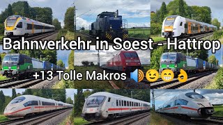 Bahnverkehr in Soest  Hattrop13 Tolle Makros 🔊😉😁👌train zug züge trainspotting eisenbahn [upl. by Oinotla]