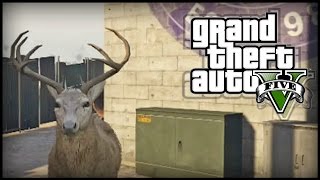 GTA 5 Next Gen  TWO Peyote Plant Locations 8 and 9  All Peyote Plants 927 Peyote Plants [upl. by Ezequiel]