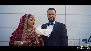 Daniel amp Rukhsana  Full Wedding Highlights  4K [upl. by Nylanej311]