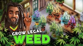 Hempire  Weed🍁 growing game walkthrough [upl. by Greenburg]