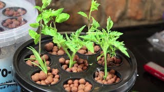 AeroPot Aeroponics System Review  My new Hydroponics Toy [upl. by Rianon861]