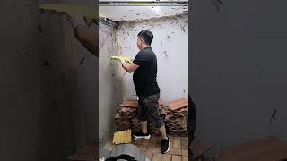 man raises lizards in his house [upl. by Regdor11]