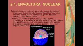 Videoclase acerca del Núcleo Celular  Video class on the Cell Nucleus [upl. by Okiam]