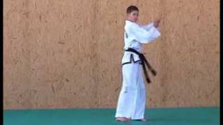 ITF TaekwonDo Patterns 8 of 14 JoongGun [upl. by Osgood]