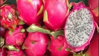 Pitahaya o Fruta del Dragón 🐉 [upl. by Yttak495]